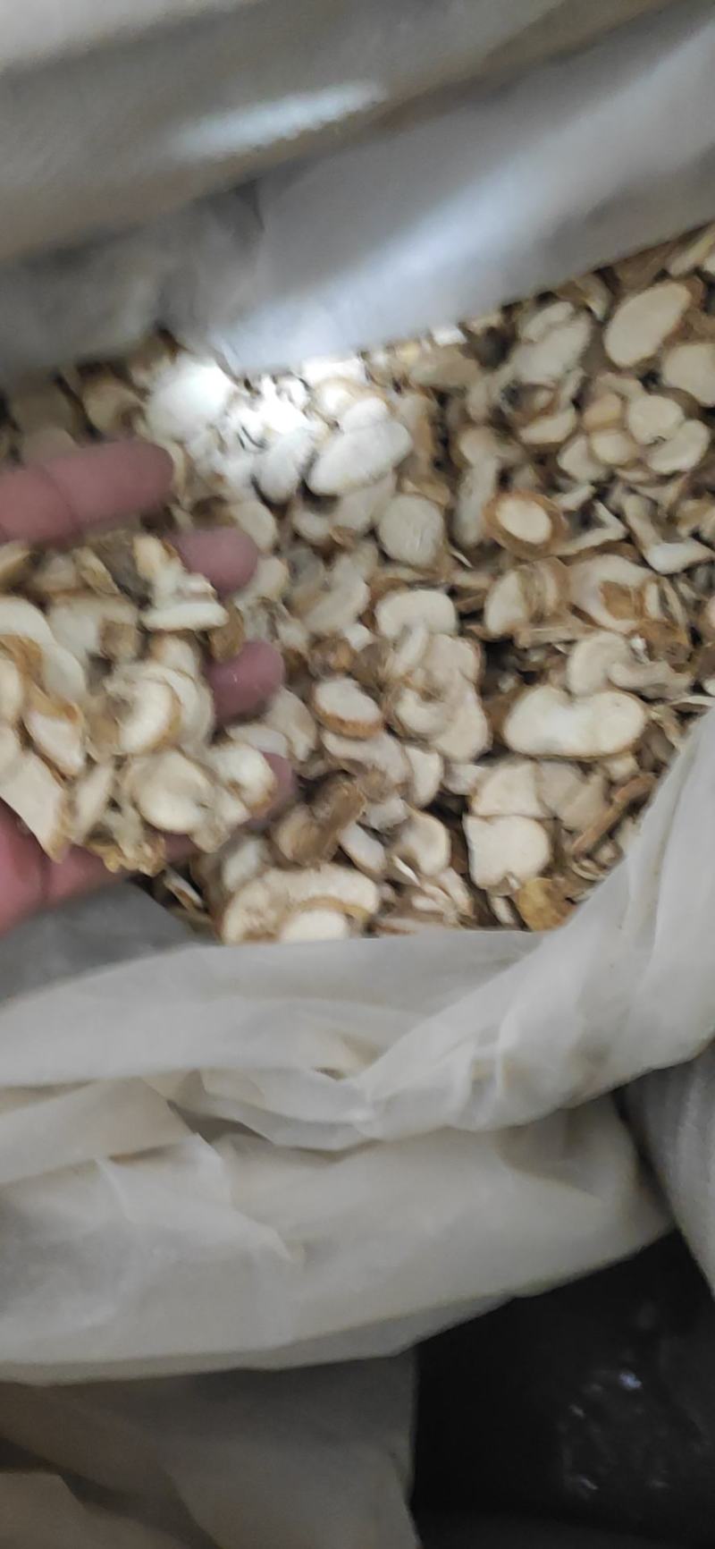 贝母干货浙贝母湖北贝母量大从优欢迎选购！