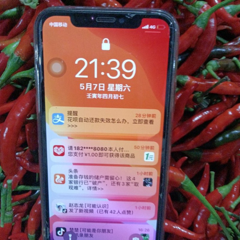 小米椒辣椒红米椒
