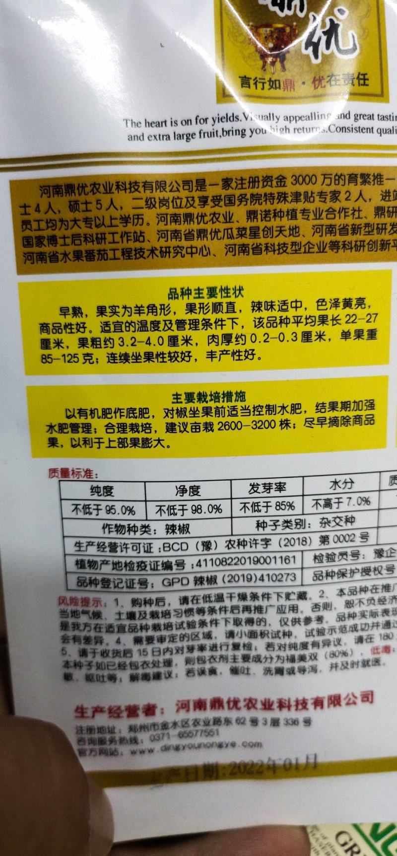 辣椒种子色泽黄亮果实为羊角形早熟微辣