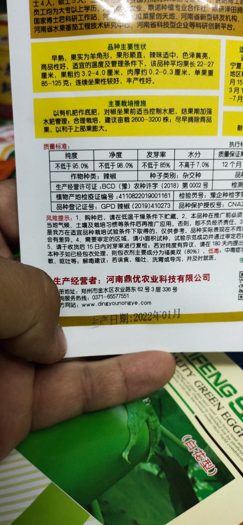 辣椒种子色泽黄亮果实为羊角形早熟微辣