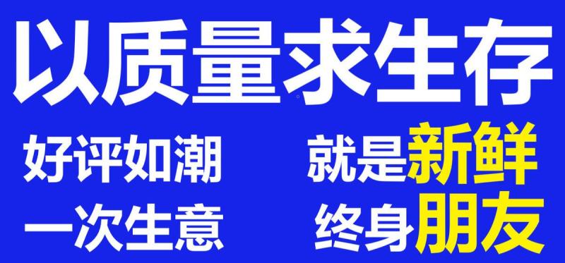 【只卖好货】沙丁鱼新鲜批发鲜活冷冻冰鲜海鲜烧烤食材大个
