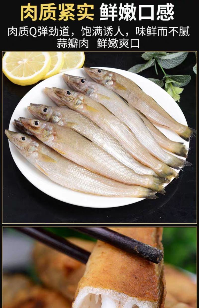 【只卖好货】沙丁鱼新鲜批发鲜活冷冻冰鲜海鲜烧烤食材大个