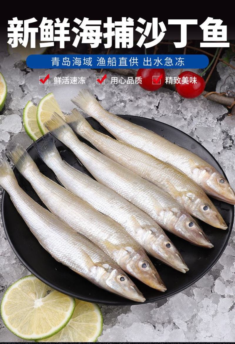 【只卖好货】沙丁鱼新鲜批发鲜活冷冻冰鲜海鲜烧烤食材大个