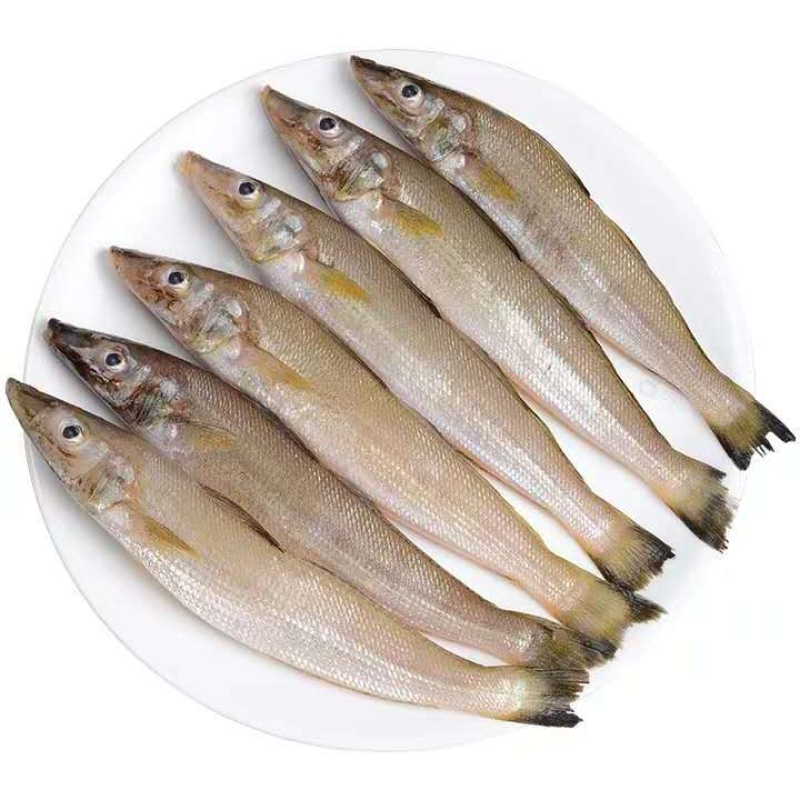 【只卖好货】沙丁鱼新鲜批发鲜活冷冻冰鲜海鲜烧烤食材大个