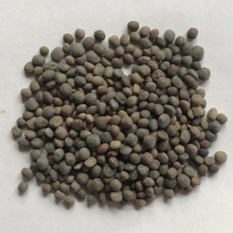 箭筈豌豆种子，红花苕野豌豆果绿肥种子南方蜜蜂植物牧草种子