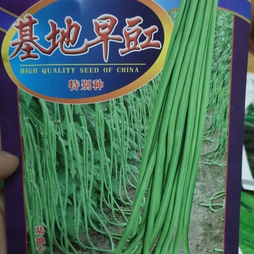 豆角种子基地早豇长90厘米早熟，详细介绍请看包装说