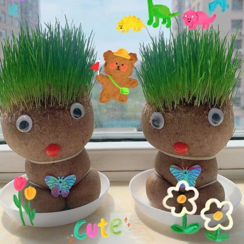 草头娃娃创意盆栽猫草宠物猫零食卡通头上长草植物网红生日礼