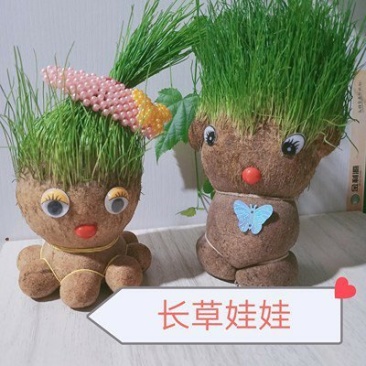草头娃娃创意盆栽猫草宠物猫零食卡通头上长草植物网红生日礼