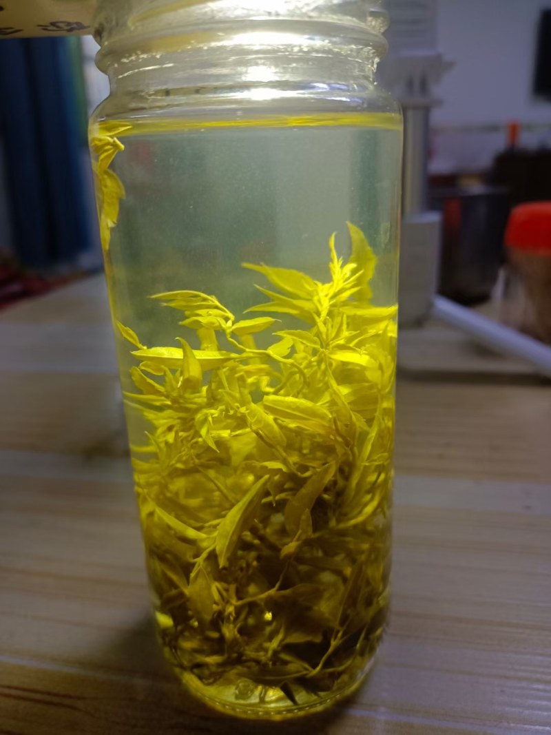 霉茶