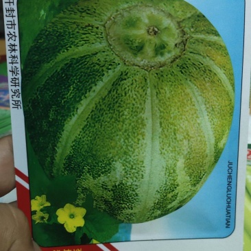 甜瓜种子菊城落花甜果实短圆形，果皮黄绿色，有浅沟，成熟