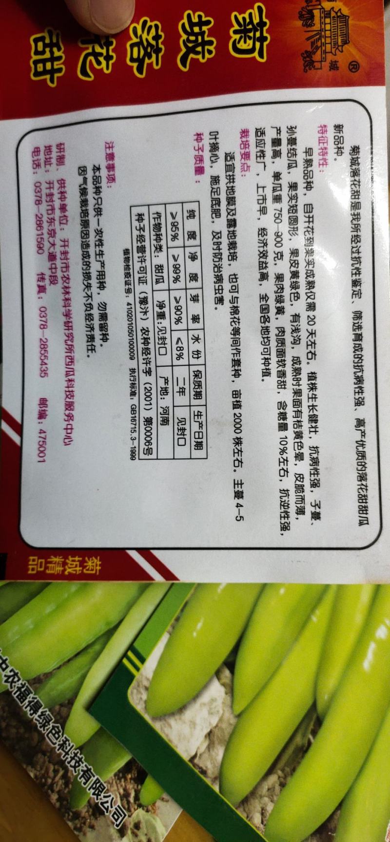 甜瓜种子菊城落花甜果实短圆形，果皮黄绿色，有浅沟，成熟