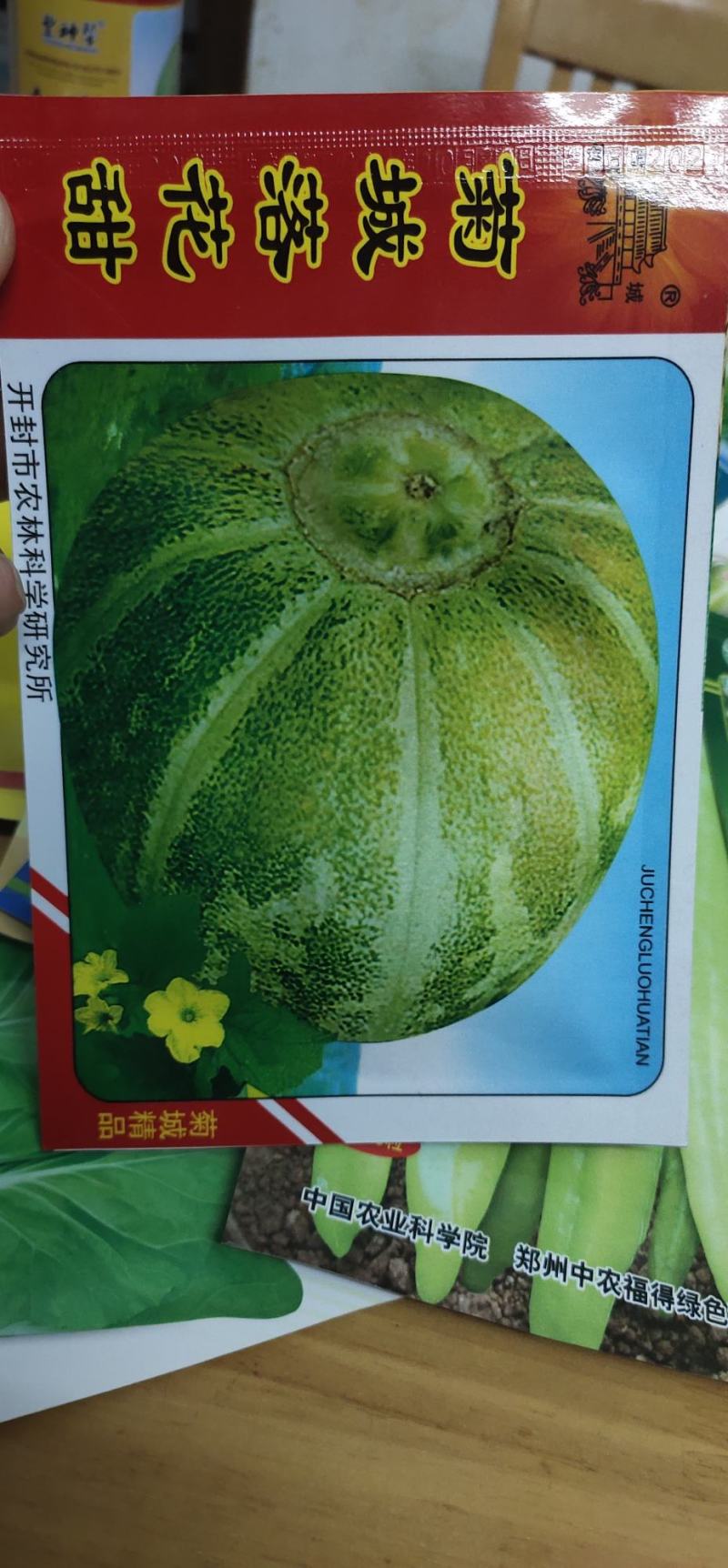 甜瓜种子菊城落花甜果实短圆形，果皮黄绿色，有浅沟，成熟