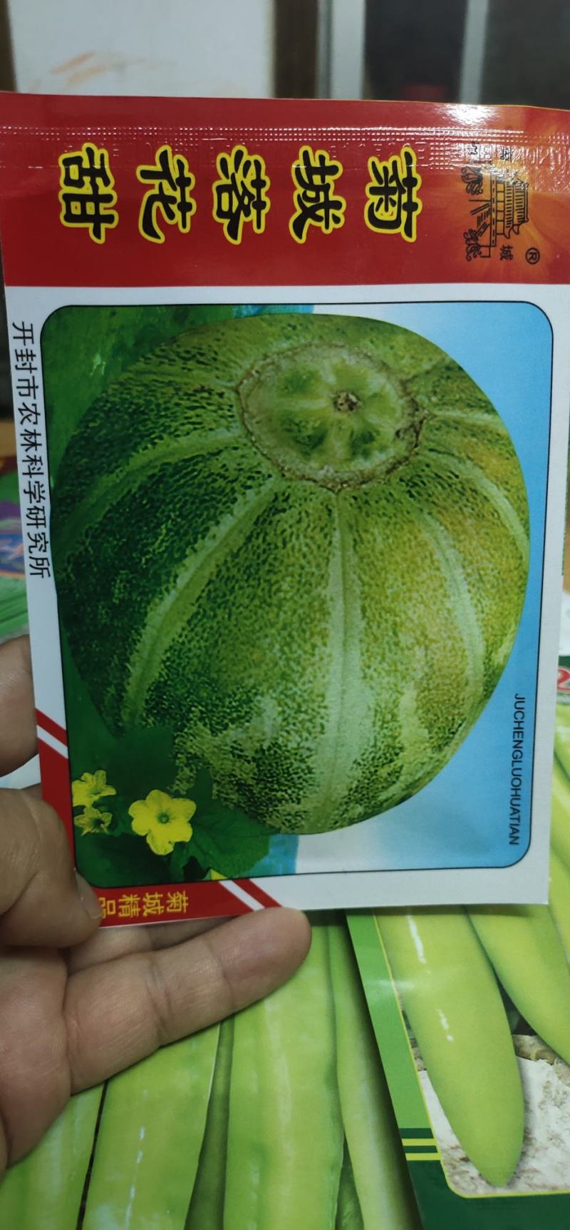 甜瓜种子菊城落花甜果实短圆形，果皮黄绿色，有浅沟，成熟