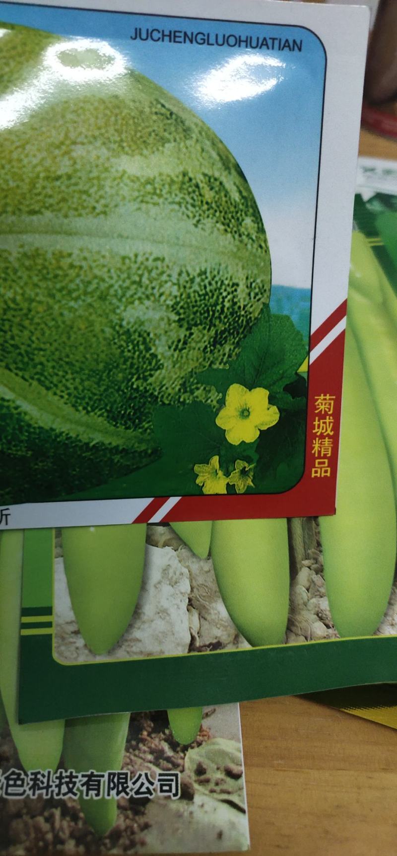甜瓜种子菊城落花甜果实短圆形，果皮黄绿色，有浅沟，成熟