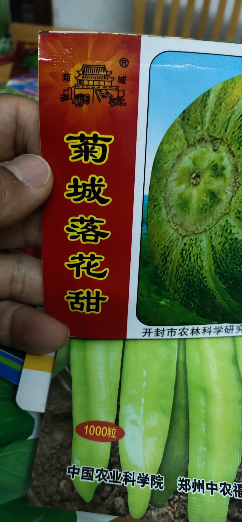 甜瓜种子菊城落花甜果实短圆形，果皮黄绿色，有浅沟，成熟
