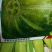 甜瓜种子菊城落花甜果实短圆形，果皮黄绿色，有浅沟，成熟