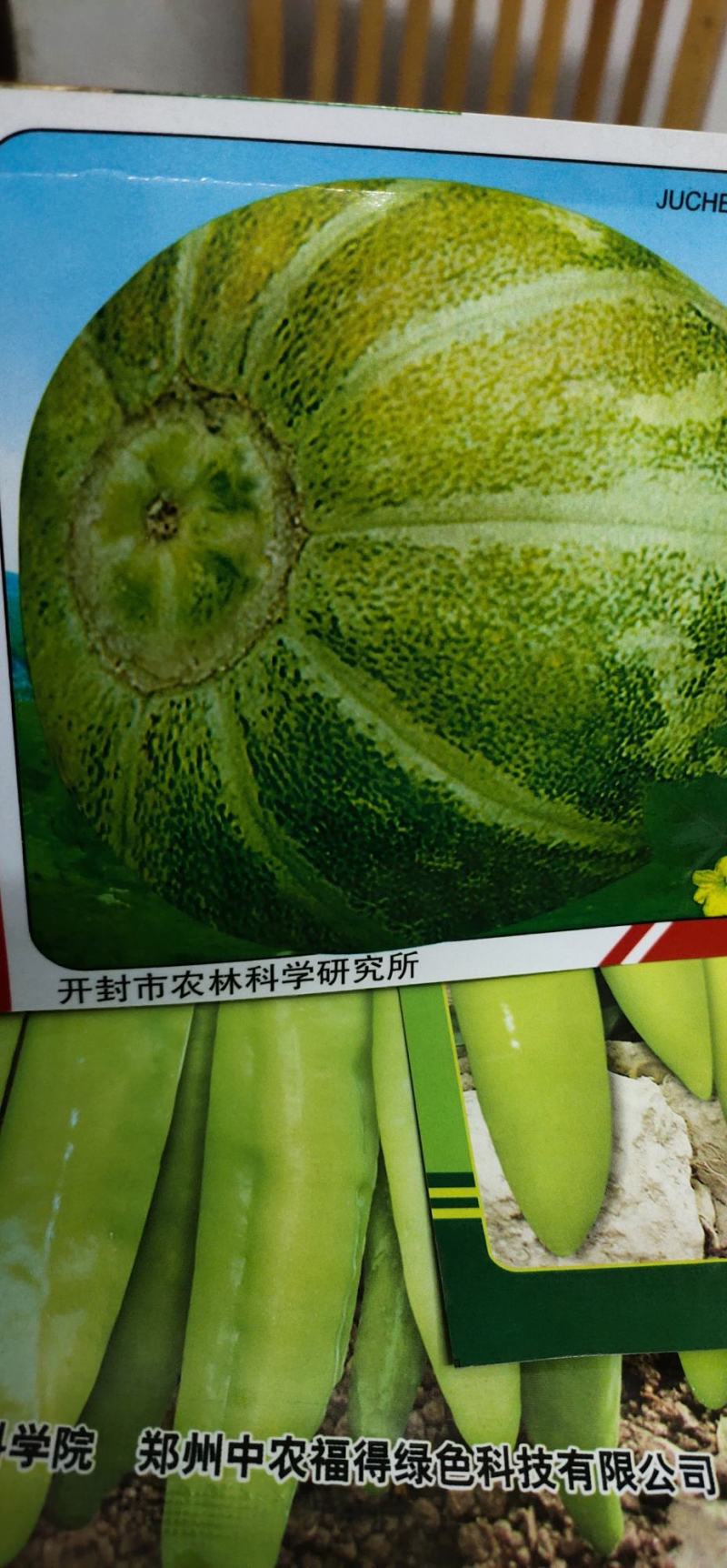 甜瓜种子菊城落花甜果实短圆形，果皮黄绿色，有浅沟，成熟