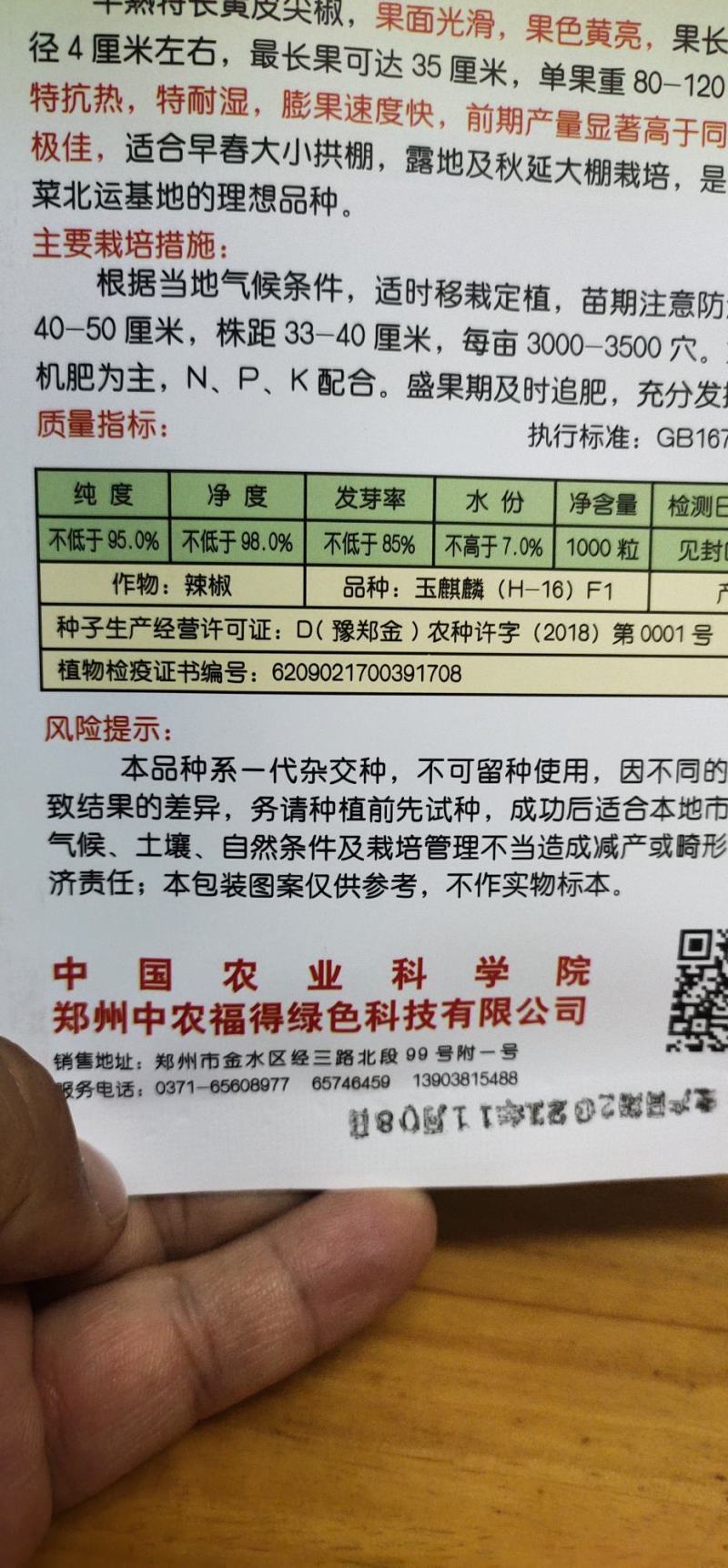 辣椒种子玉麒麟黄皮尖椒，果色黄亮，抗热，耐湿，