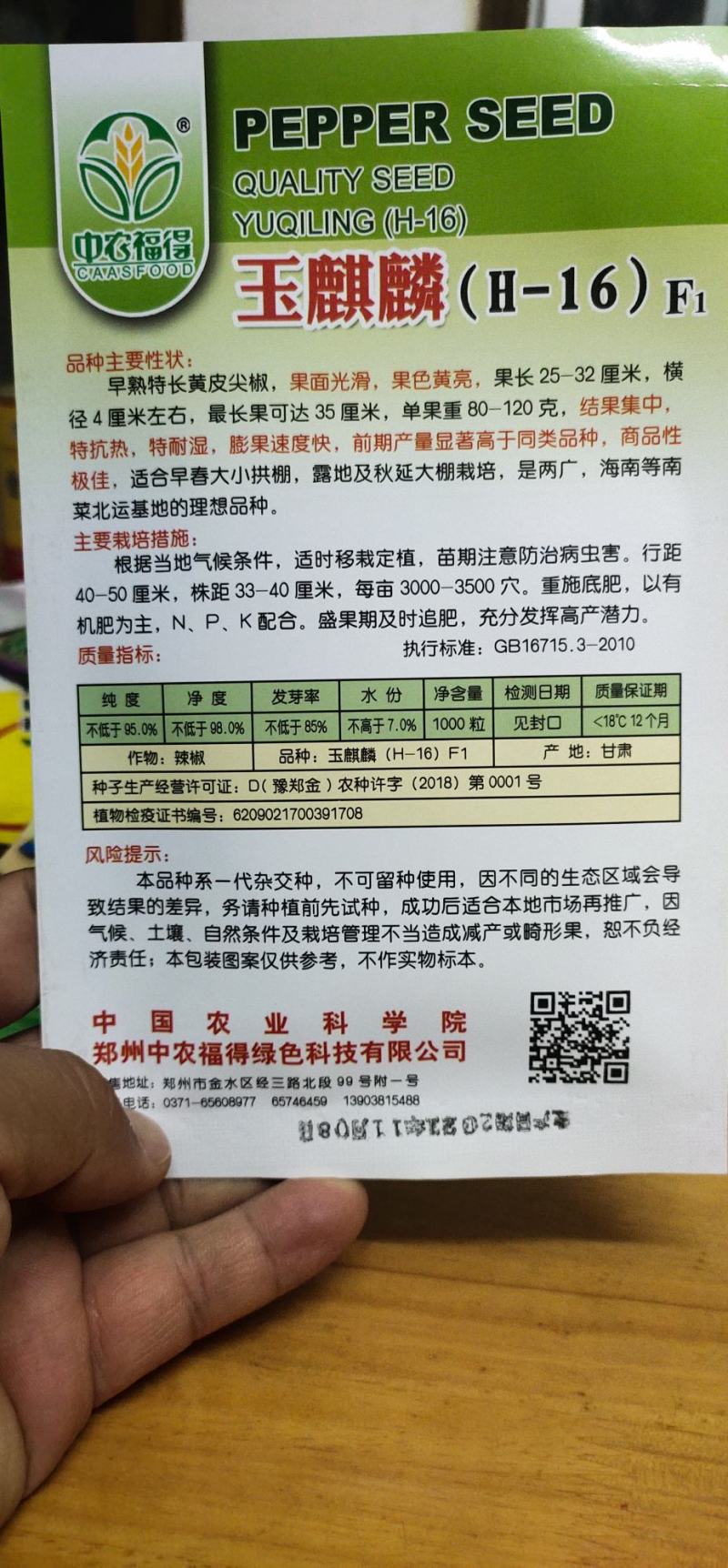 辣椒种子玉麒麟黄皮尖椒，果色黄亮，抗热，耐湿，