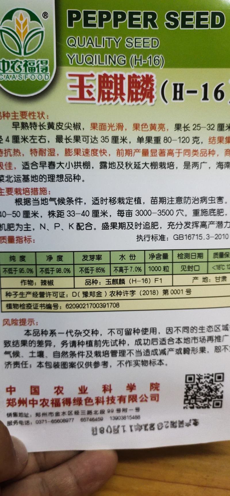 辣椒种子玉麒麟黄皮尖椒，果色黄亮，抗热，耐湿，