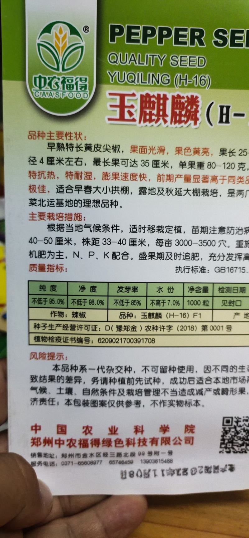 辣椒种子玉麒麟黄皮尖椒，果色黄亮，抗热，耐湿，