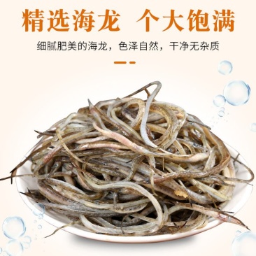 【国产】新鲜海龙鱼4斤海捕海龙鱼尖嘴鱼海洋珍品滋补食材