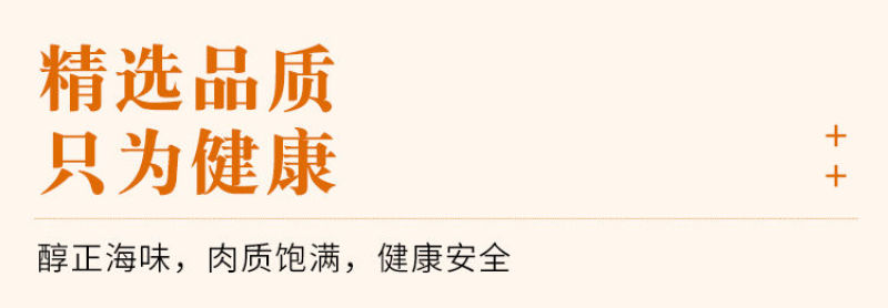 【国产】新鲜海龙鱼4斤海捕海龙鱼尖嘴鱼海洋珍品滋补食材