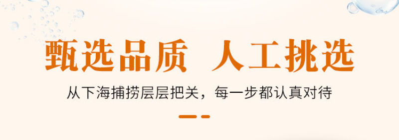 【国产】新鲜海龙鱼4斤海捕海龙鱼尖嘴鱼海洋珍品滋补食材