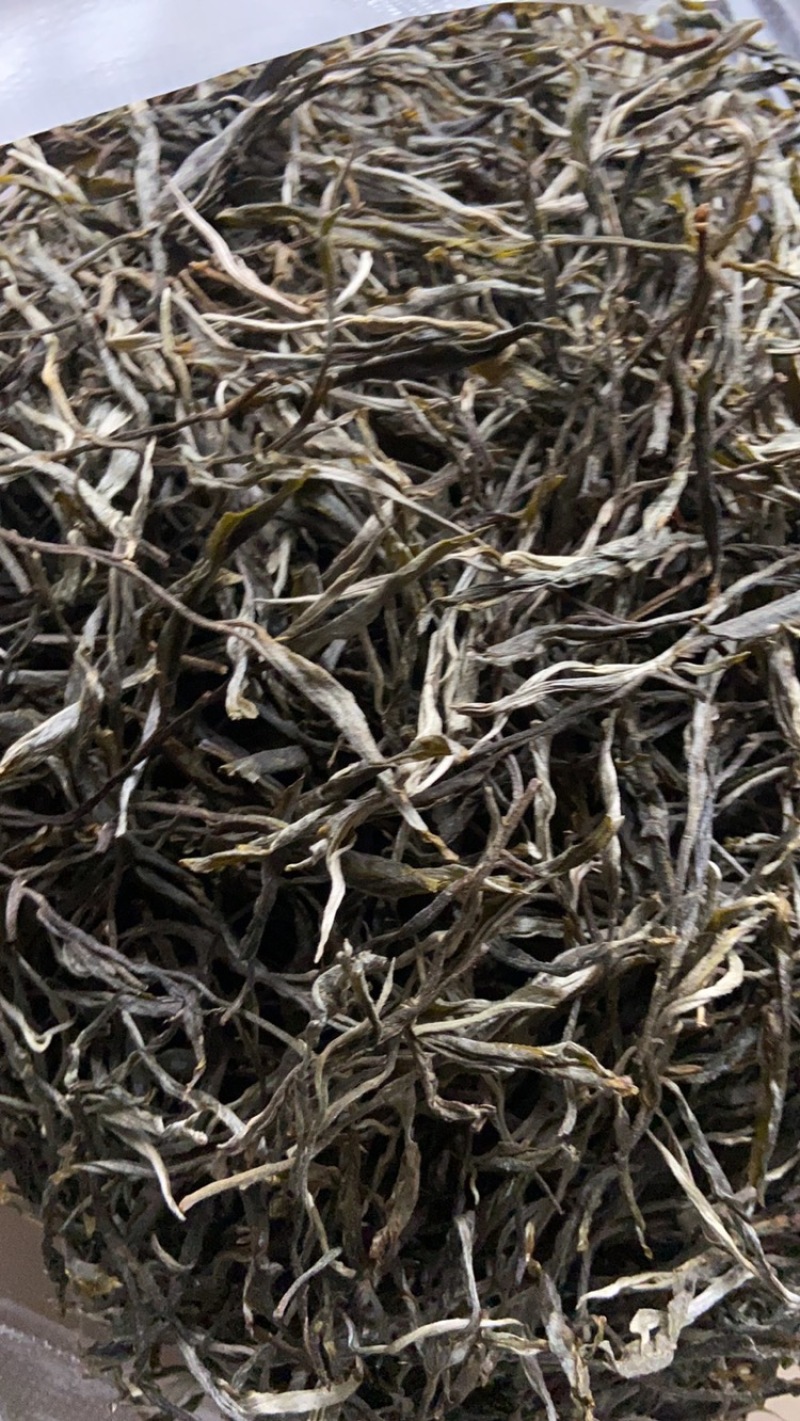云南大叶种，红茶，普洱生茶