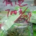汉中仙毫绿茶