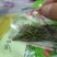 汉中仙毫绿茶