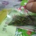 汉中仙毫绿茶