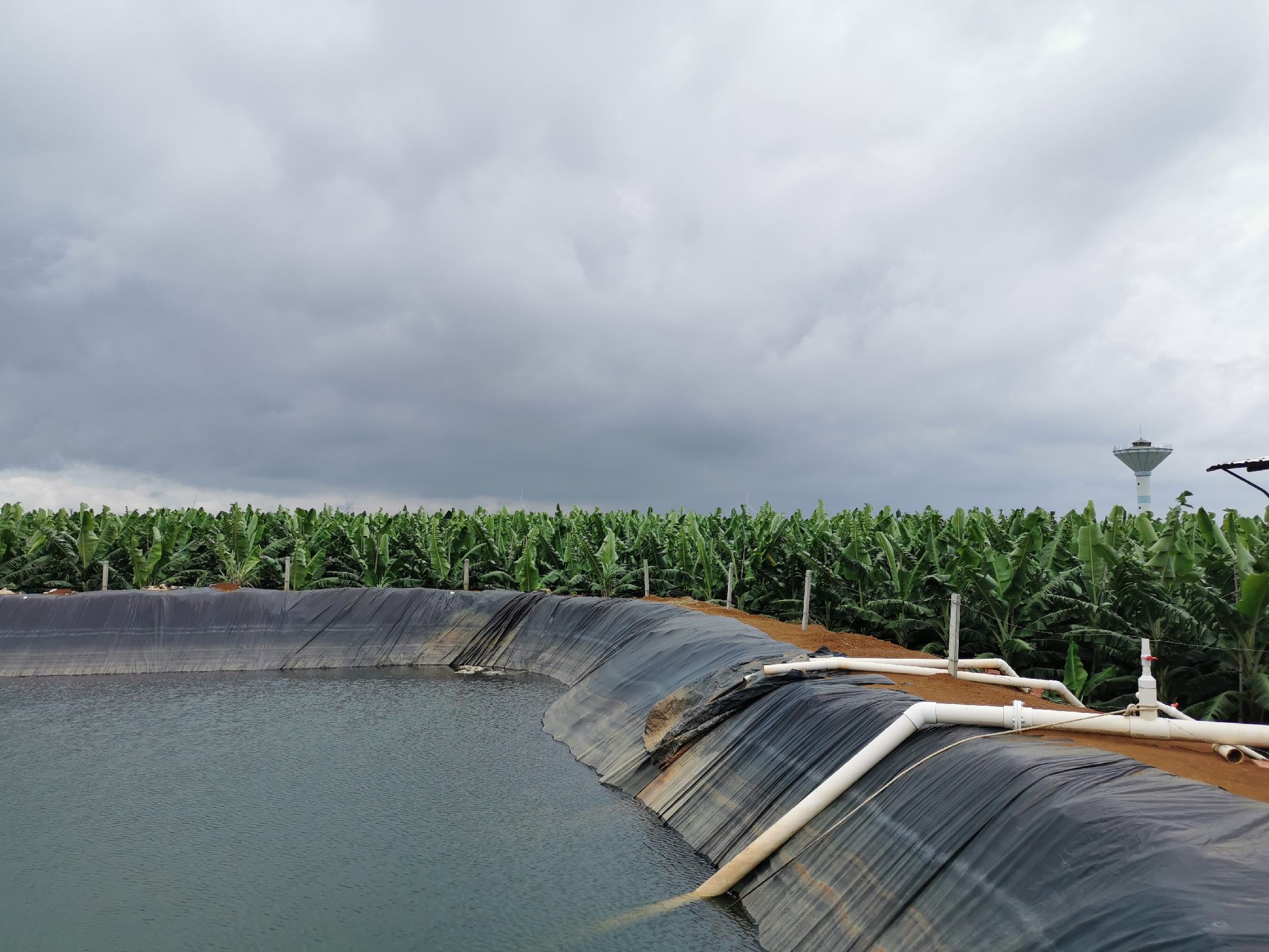 帆布池结构示意图,展示帆布池的支撑框架、底部铺设及进出水口设置 帆布池结构示意图