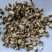 天花粉渣花粉碎粒数量有限批发零售量大从优
