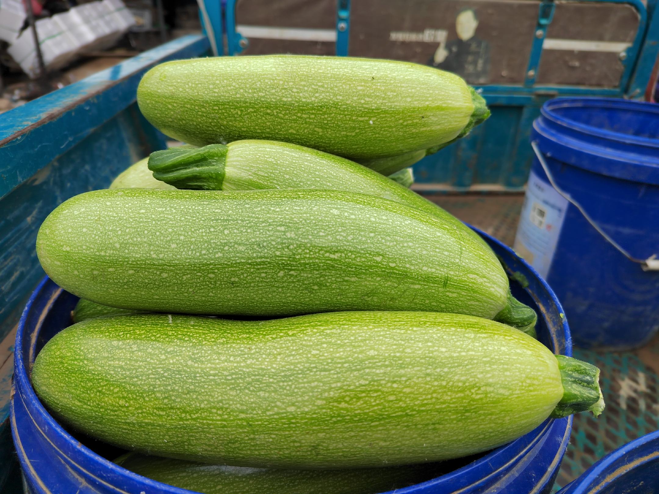 芦荟与鸡蛋原材料展示