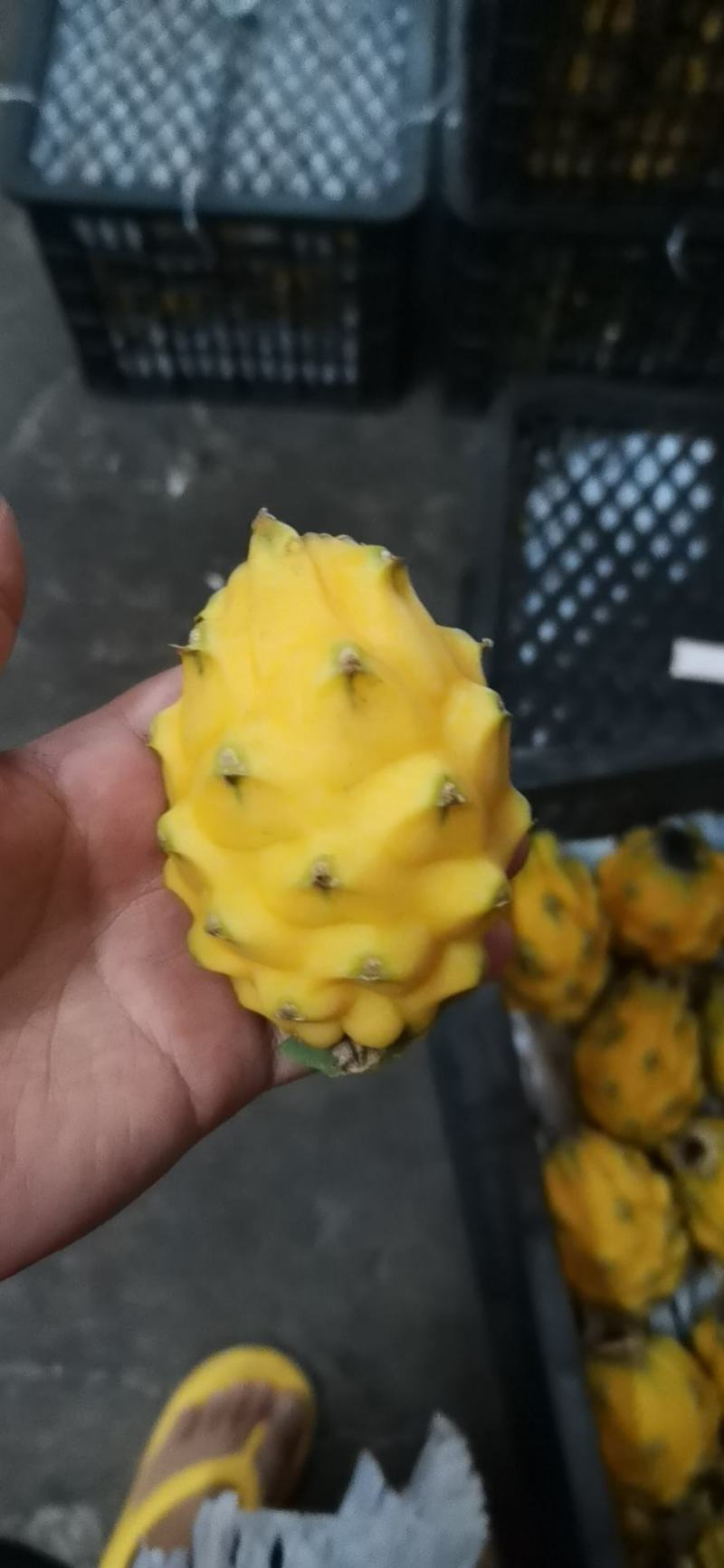 燕窝果