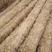草帘，草纤维，草支垫，防沙优质稻草，拉西瓜垫车底草帘
