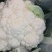 实花，散花芹菜甘蓝大量有货