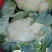 实花，散花芹菜甘蓝大量有货