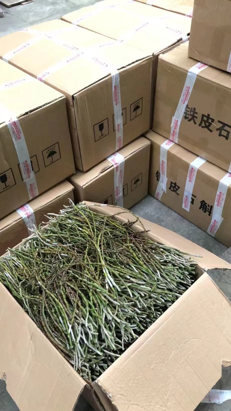 云南产地铁皮石斛新鲜条上市