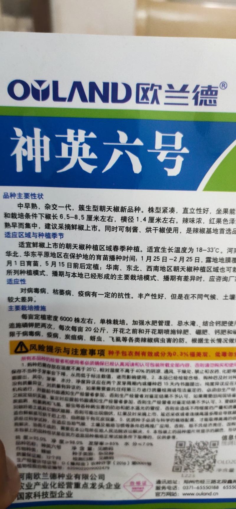 辣椒种子神英六号，亩6000株左右，详细介绍请看包装说