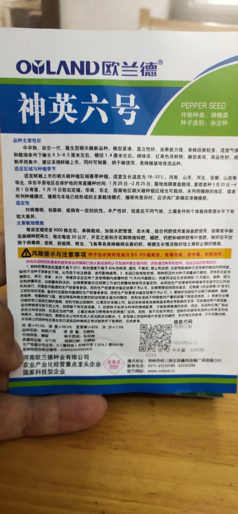 辣椒种子神英六号，亩6000株左右，详细介绍请看包装说