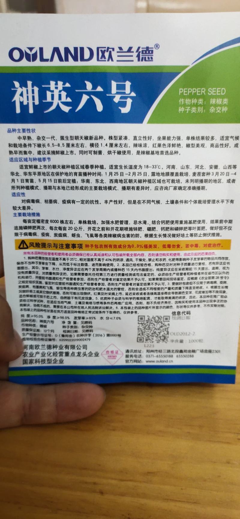 辣椒种子神英六号，亩6000株左右，详细介绍请看包装说