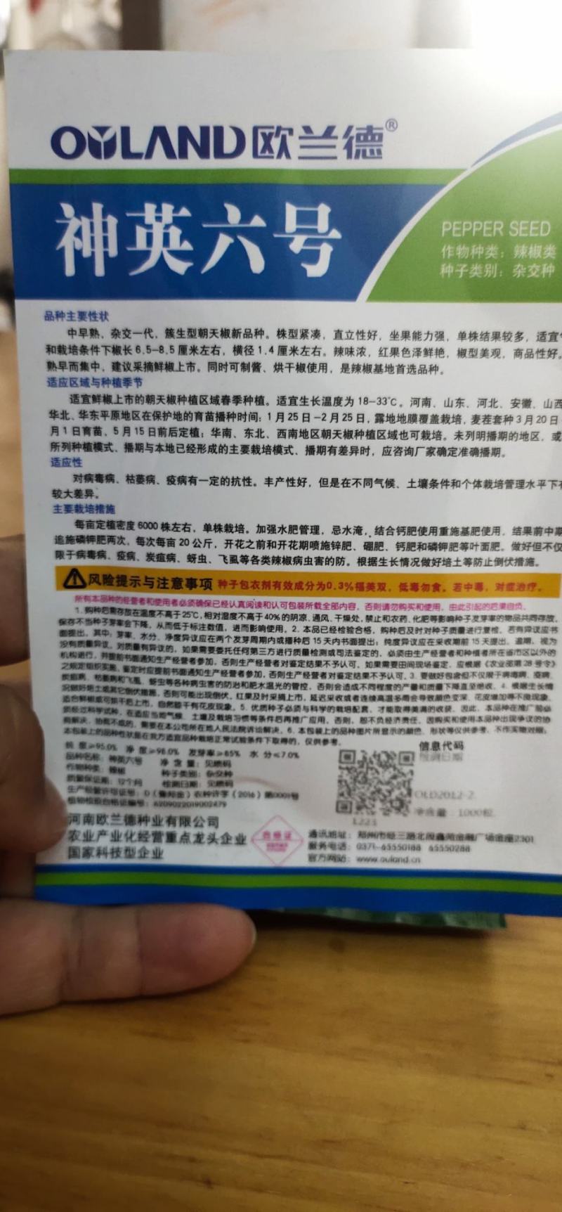 辣椒种子神英六号，亩6000株左右，详细介绍请看包装说