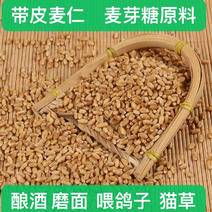 小麦带皮麦仁磨面粉酿酒原料饲料用大量批发麦仁40