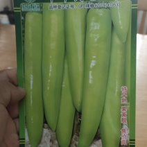辣椒种子中华剑龙2号早熟长黄皮尖椒，果面光滑，果色黄
