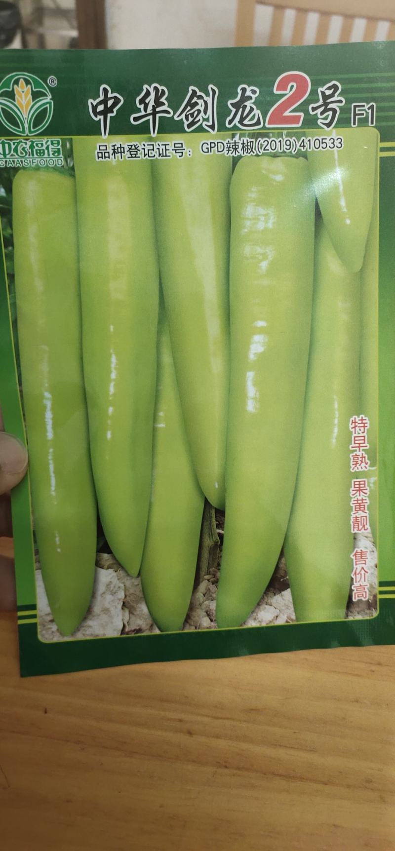 辣椒种子中华剑龙2号早熟长黄皮尖椒，果面光滑，果色黄