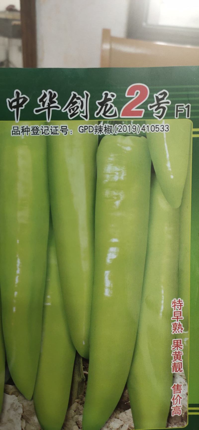 辣椒种子中华剑龙2号早熟长黄皮尖椒，果面光滑，果色黄