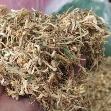 江西野生金银花甘甜不苦，2斤包邮