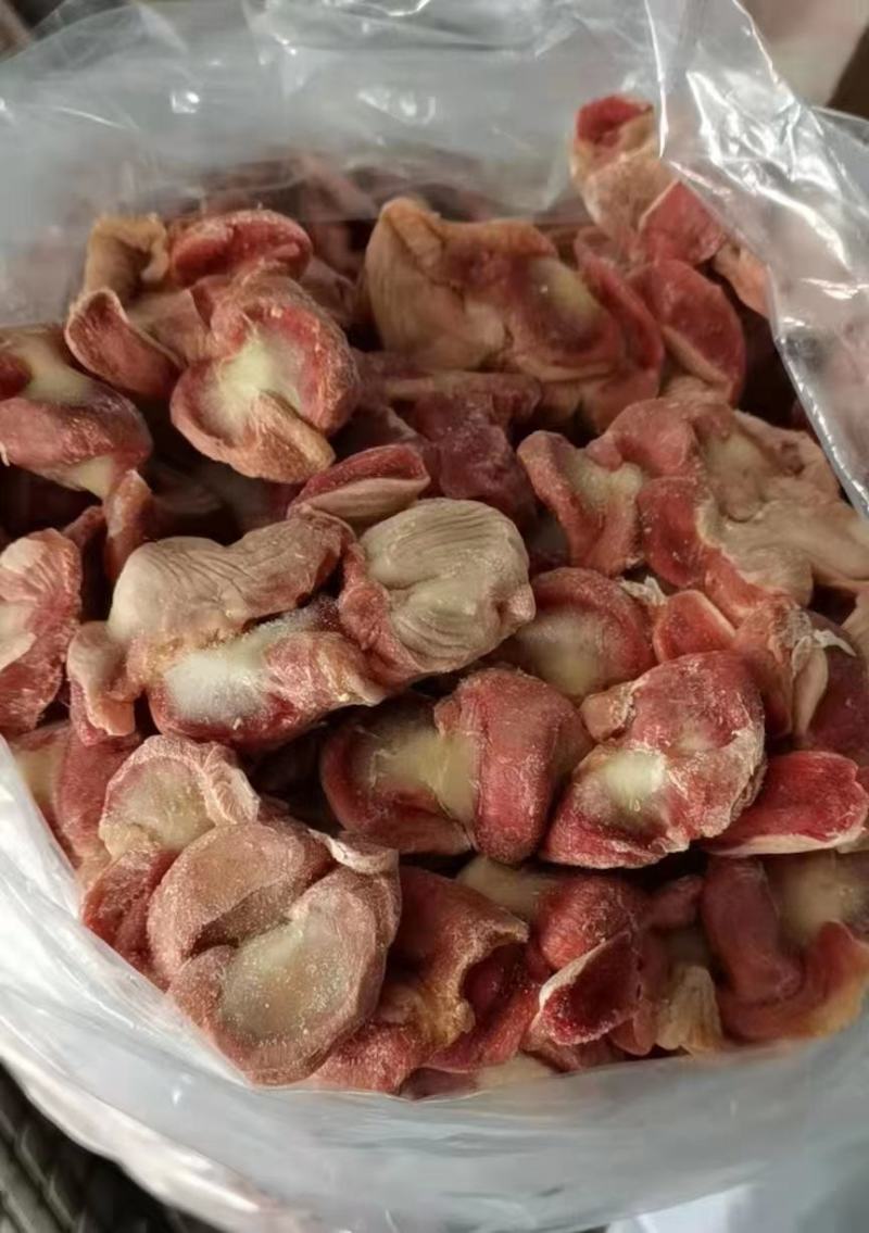 老母鸡去肚鸡胗